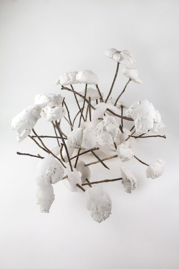 The Places Where The Vibrations Are Good