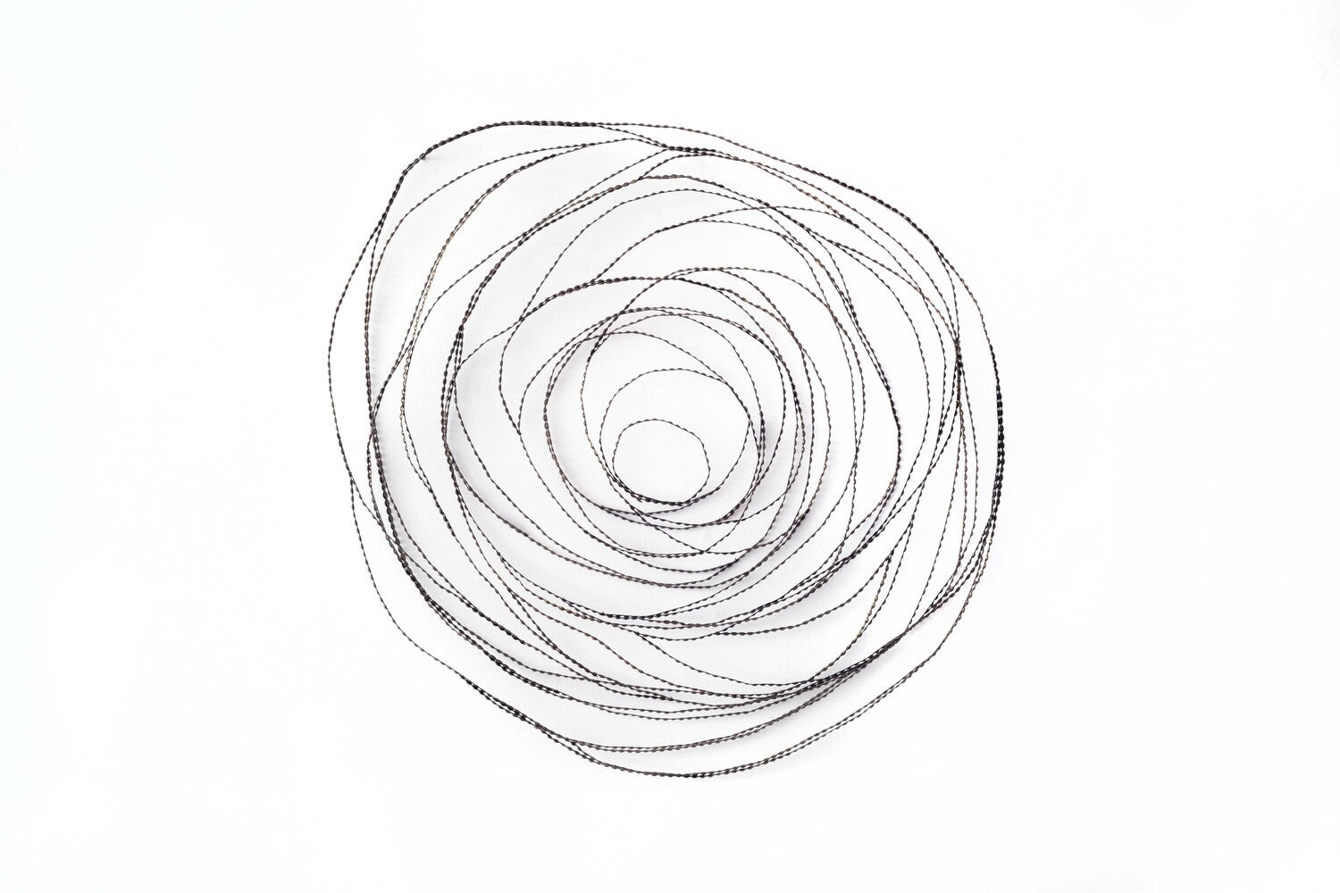 Life Cycle