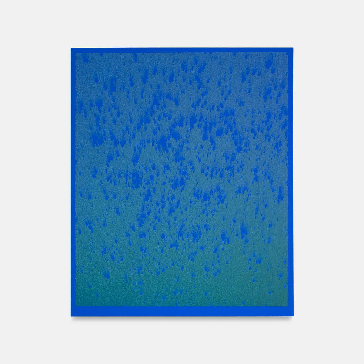 Blue Algae