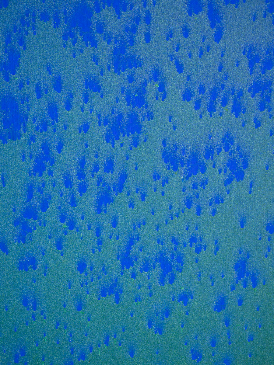 Blue Algae
