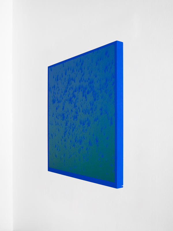 Blue Algae