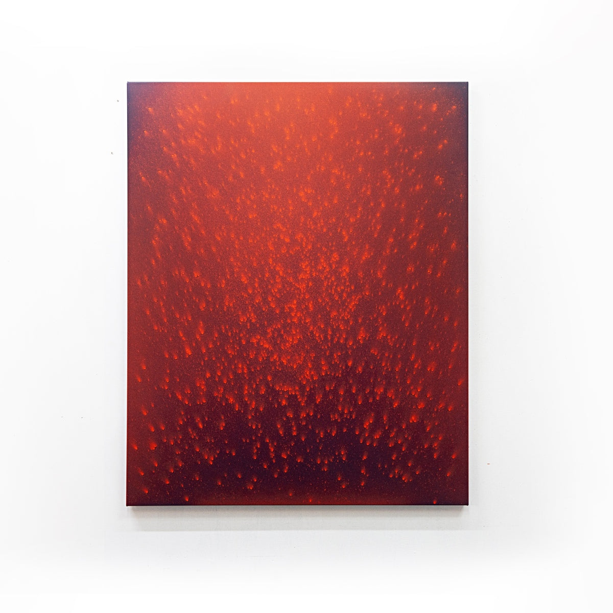 Crackling Nocturnal