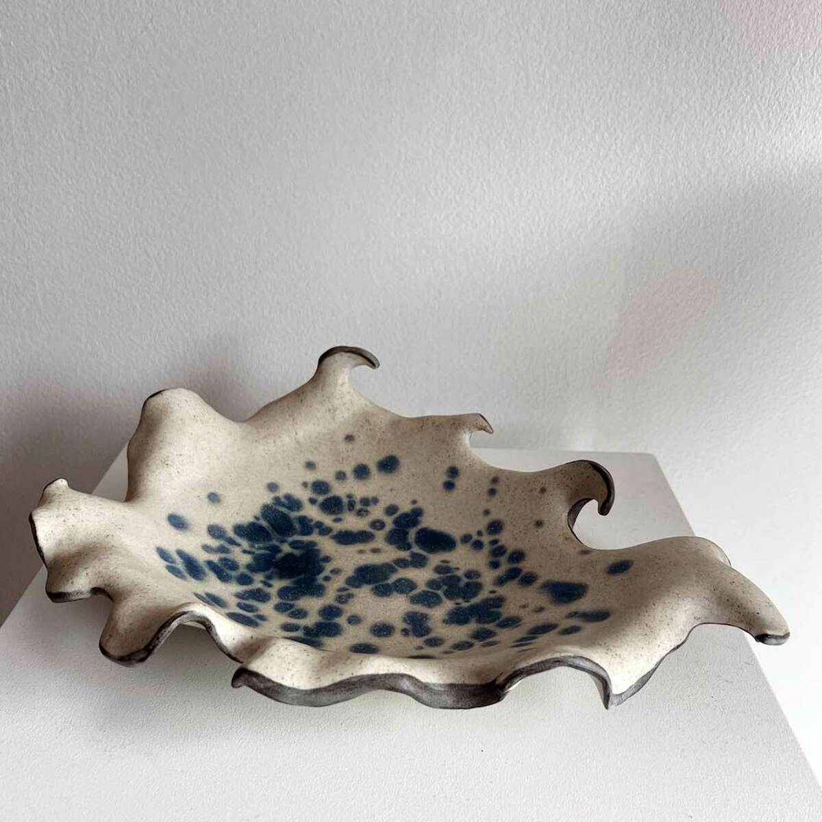 Jagged Ray Dish