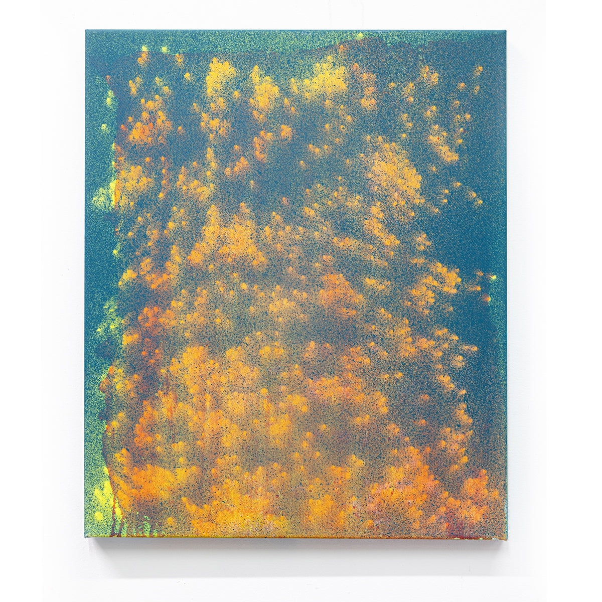 The Sound of Flowers