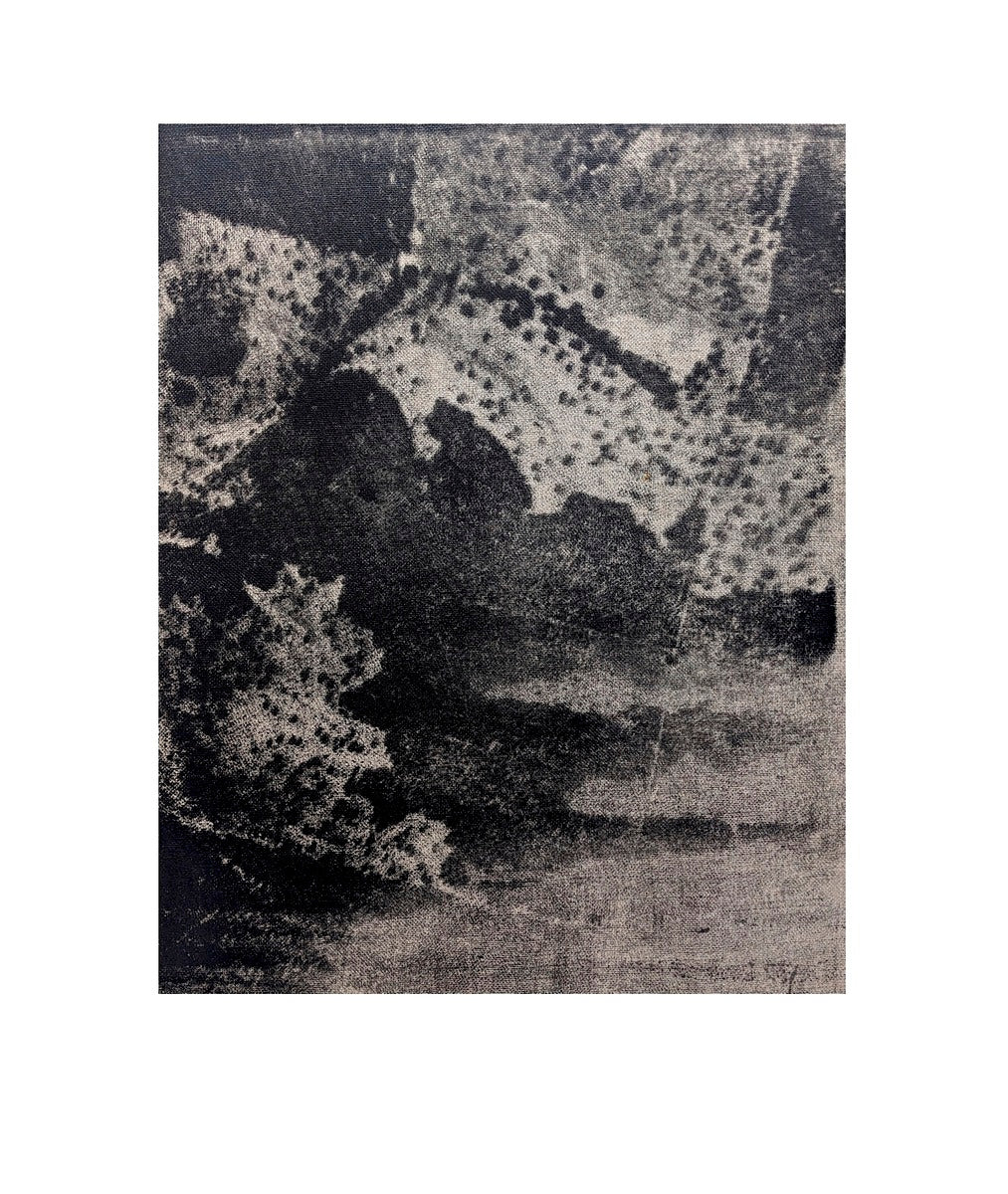 Can't See The Forest for the Fields