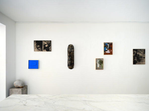 Can't See The Forest for the Fields